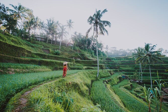 3 Days for the best of Ubud Private Tour - Authentic Experiences and Surprising Highlights