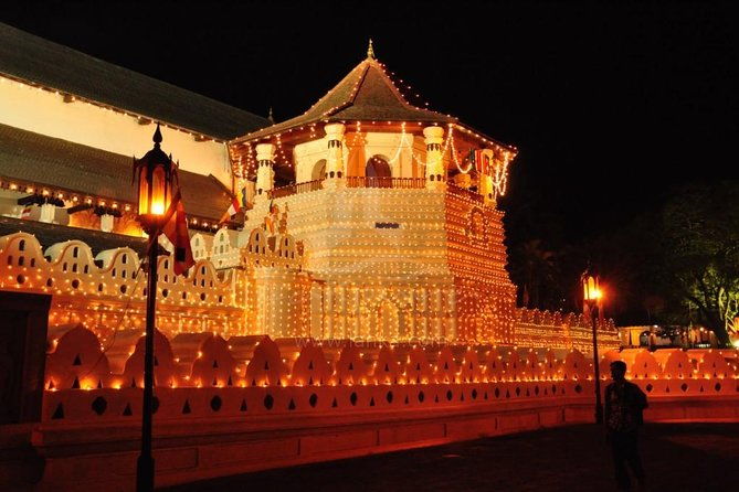 3 Days Tour to Kandy Nuwara Eliya & Sigiriya from Colombo - Day 2: Tea, Temples, and Highland Scenery