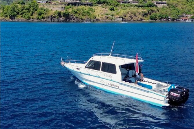 3 Epic Dives in Nusa Penida - Certified Divers' Day Trip - What Makes This Experience Stand Out?