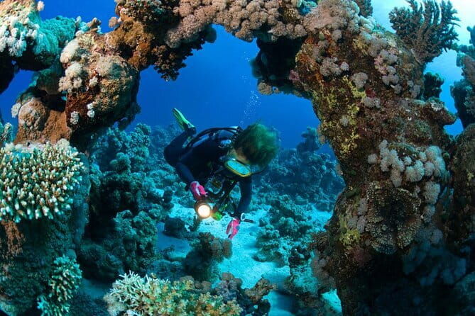 3 Fun Dives in Racha Yai and Racha Noi for Certified Divers - What to Expect from the Tour