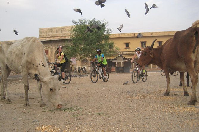 3-Hour Morning Bike Tour of Jaipur - The Practical Side: What’s Included & What Not