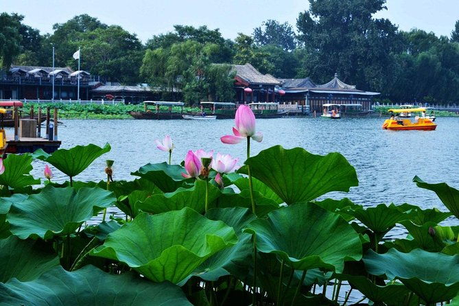 3-Hour Private Hutong Walking Tour with Drum Show at Drum Tower and Tea Tasting - Deep Dive into the Itinerary