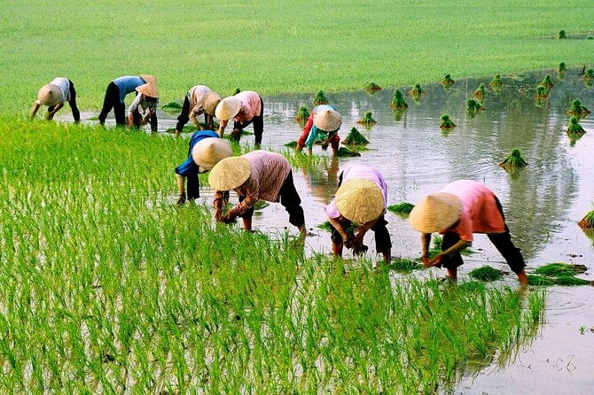 3 Hours Hoi An Countryside Motorbike Tour - The Itinerary Breakdown