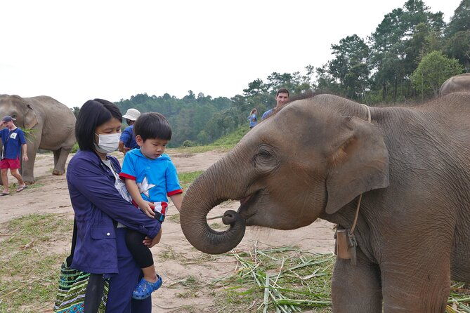 3-in-1: Doi Inthanon Tour, Elephant Sanctuary, and Trekking Trail - Practical Details and Considerations