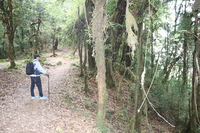 3 Night 4 Days Mardi Himal - Final Thoughts: Is the Mardi Himal Trek Worth It?
