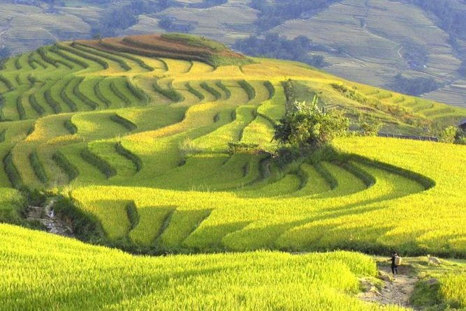 3-Night Sapa Trek and Homestay with Round Trip Transfer from Hanoi - The Value of This Tour