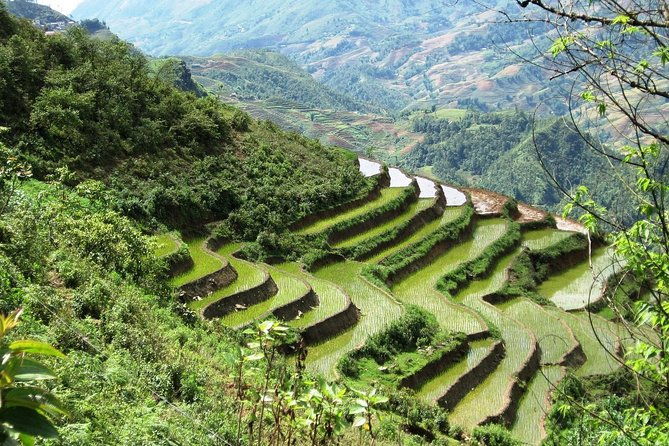 3-Night Sapa Trekking Tour from Hanoi - Authentic Cultural Encounters and Scenic Highlights