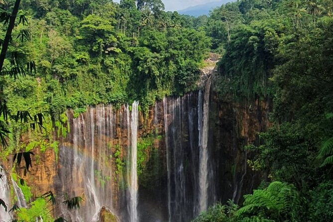 3Days - Tumpaksewu Bromo Ijen Adventure via Malang - Final Thoughts: Is This Tour Worth It?