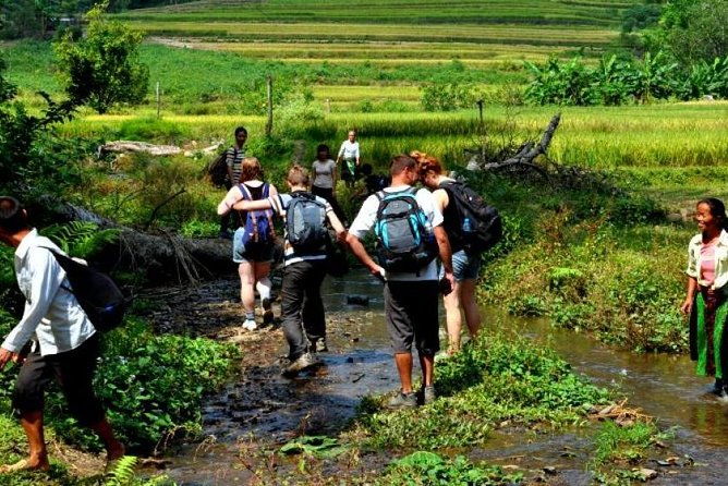 4-Day Jungle Trekking in Ba Be National Park - What’s Included and What’s Not