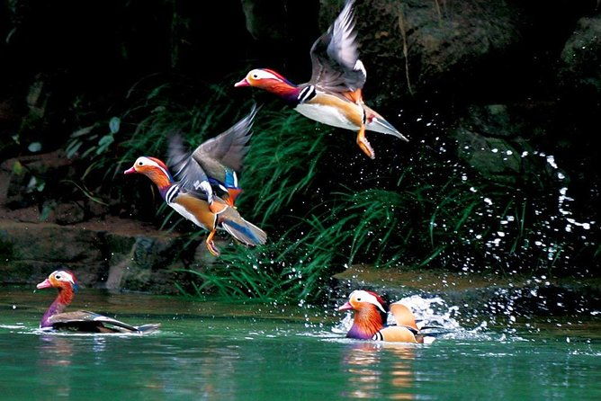 4-Day Zhangjiajie Tour to All Highlight Attractions with VIP Lift - Price & Value Analysis