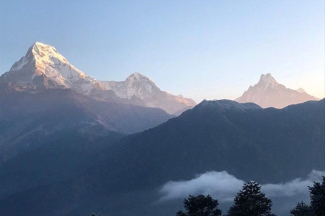 4 Days Amazing Trekking from Pokhara-Ghorepani Poon Hill - Day 3: Poon Hill – Sunrise Spectacle and Mountain Majesty