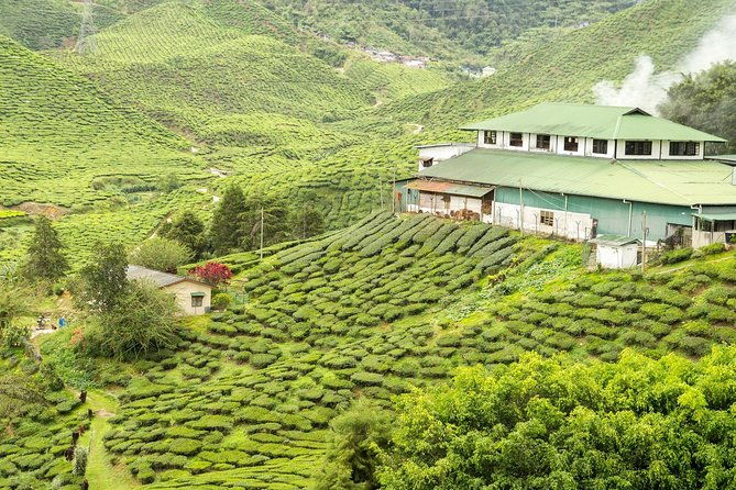 4 Days Best of Kerala Tour with Private Houseboat, Sightseeing & Car - Day Two: Exploring Munnar’s Natural and Cultural Gems