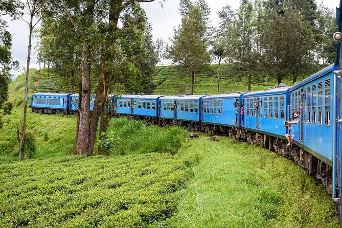 4 Days Tour to Kandy, Sigiriya & Nuwara Eliya - How the experience feels