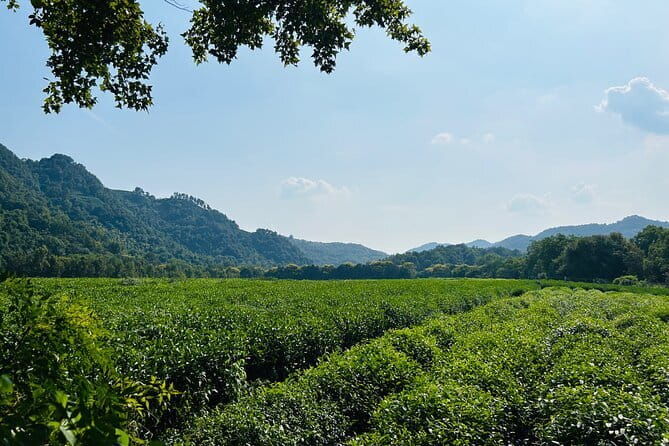 4-Hour Hangzhou Highlights Tour of Lingyin Temple and West Lake - An In-Depth Look at the Tour Itinerary