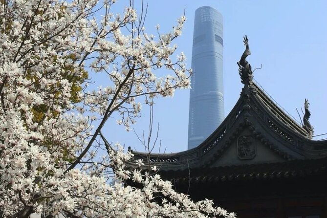 4-Hr Shanghai Layover Tour: Maglev, Wet Market, Food, Landmarks - Frequently Asked Questions