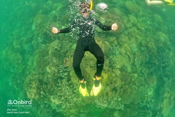 4 Islands & 2 Reefs - Discovery Snorkeling & Relaxing (MAX 12) - Authentic Insights from Past Participants