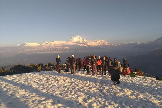 4Nights 5Days PoonHill Trek - Practical Considerations