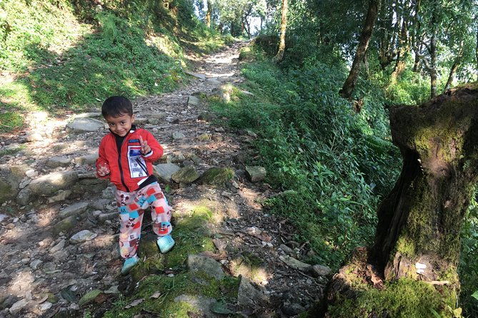 4WD Drive to Dhampus and Easy Hiking to Australian Camp from Pokhara - Practical Details and Value