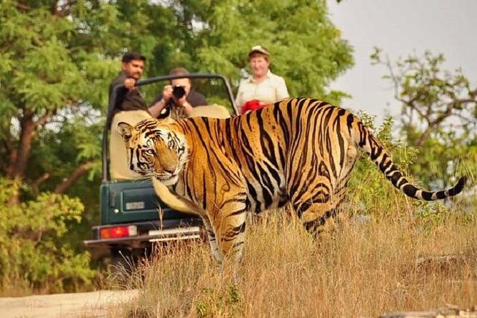 5-Day Private Delhi, Agra and Jaipur with Ranthambhore Tiger Tour From Delhi - Day 2: The Magnificence of Agra — Taj Mahal & Agra Fort