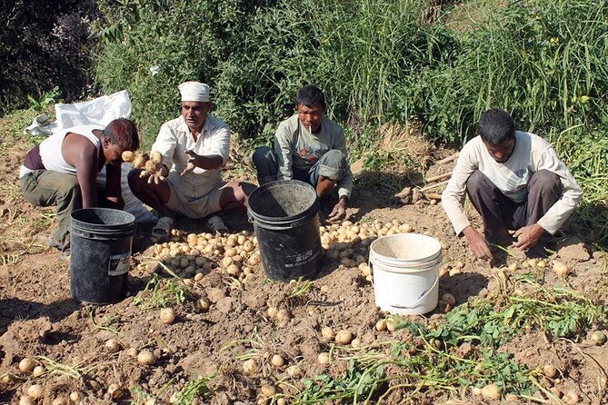5-Day Private Farming Experience in Nayapul with Accommodation - What’s Included & What’s Not