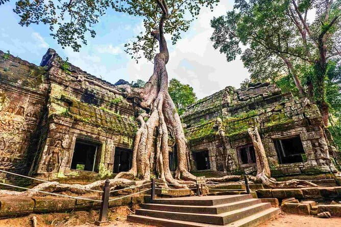 5-Day Private Highlights Tour of Siem Reap and Phnom Penh - Transportation and Logistics: Why It Matters