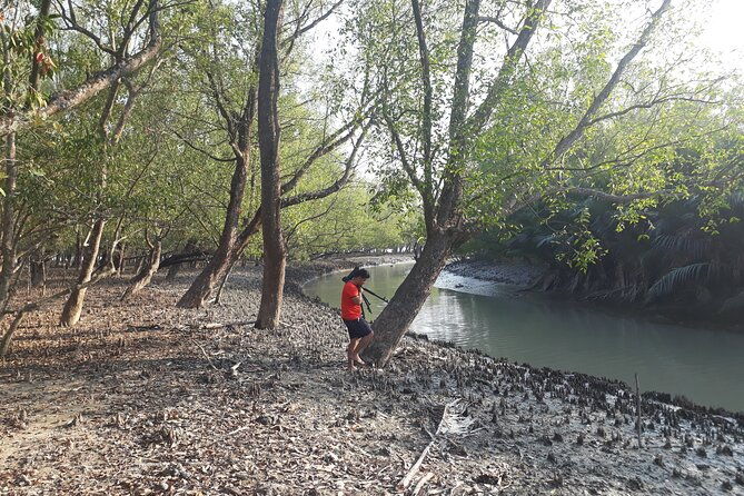5-Day Sundarban Tour: The Wild Life Adventure - Experience Highlights and What Makes It Special