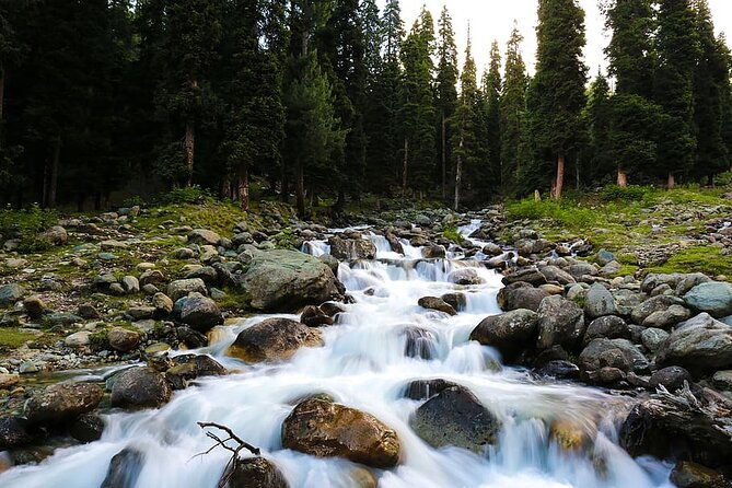 5 Days and 4 Nights Private Tour of Kashmir - How the Tour Adds Value