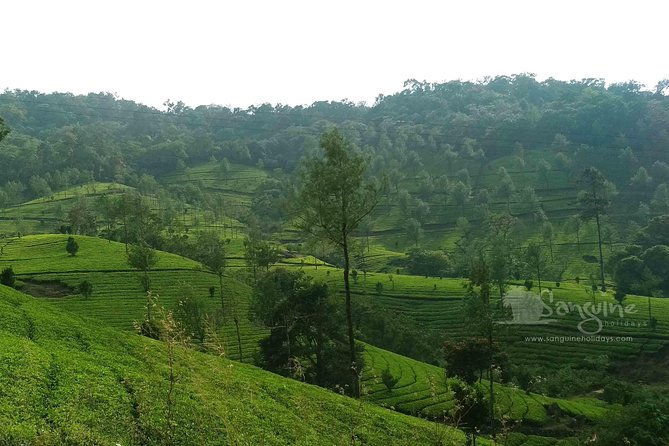 5 Days Budget Kerala Tour Packages by Sanguine Holidays - Practical Aspects and Considerations