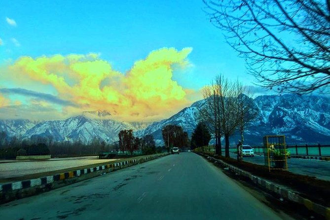 5-Days Kashmir tour includes Accommodation and Private Transportation - Who Is This Tour Best For?