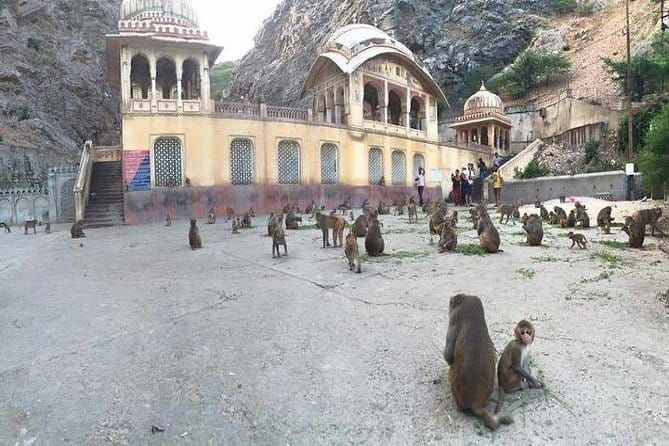 5 Days To A Better Golden Triangle India Tour On A Budget - Day-by-Day Breakdown of the Tour