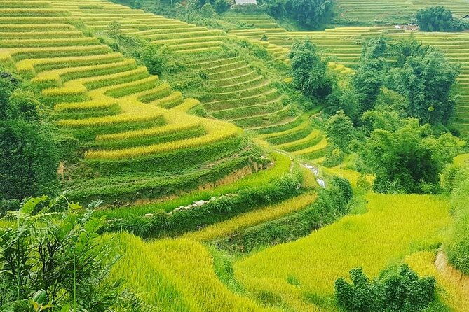 5 Hours Trekking with Terraced Rice Field in Sapa - Final Thoughts