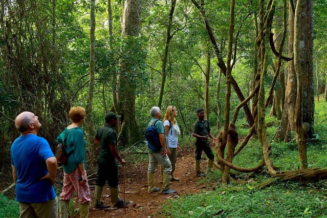 6-Day Kerala Private Tour: Periyar Wildlife Sanctuary - Practical Aspects & Value