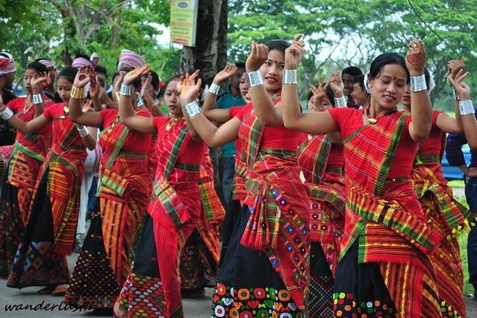 6-Day Tour of Exotic Northeast India: Mawsmai Caves, Double Decker Living Root Bridge and Kaziranga National Park - Authentic Insights from Reviewers