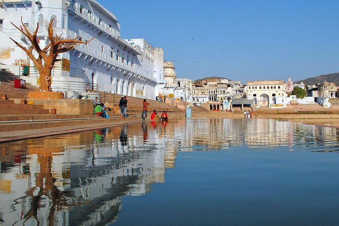 6 Days Golden Triangle Tour with Pushkar from Delhi - Authentic Insights from Reviewers