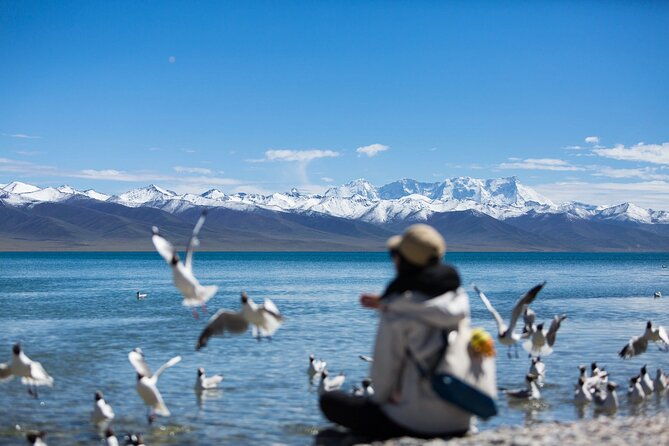 6 Days Lhasa Gyantse Shigatse Group Tour - What It’s Like Traveling in the Group Tour