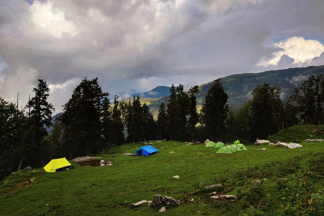 6 Days Phulara Ridge Trek - Day 3: Into the Heart of Forests and Meadows