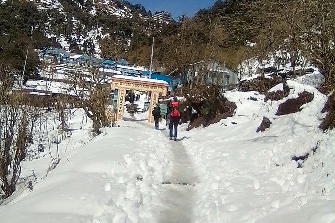 6 Days Poon Hill - Ghandruk Circuit Trek from Kathmandu - Transportation and Logistics: What Makes It Easy