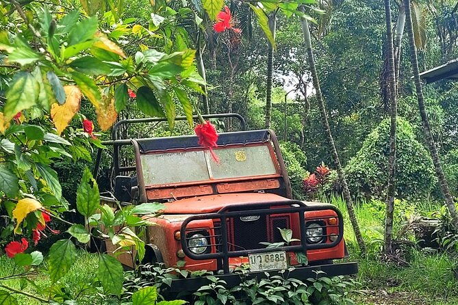 6 Hrs Off Road 4x4 Adventure of Hidden Gems In Koh Samui Hills 1 - 4 persons - A Deep Dive into the Itinerary