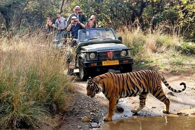 7-Day Golden Triangle Tour with Ranthambore Tiger Safari - An In-Depth Look at the 7-Day Itinerary