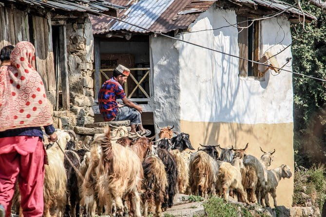 7 Days Dharamsala - Dalai Lama home Trek - Practical Details and Tips