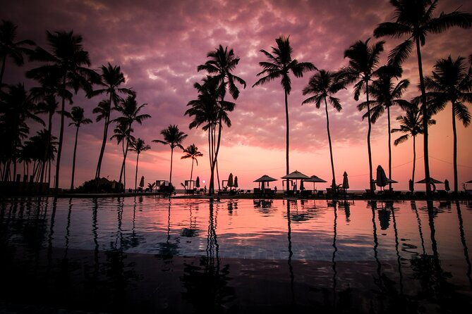 7 Days Tour in Sri Lanka with 4 Star HB Accommodations - What the Reviews Say