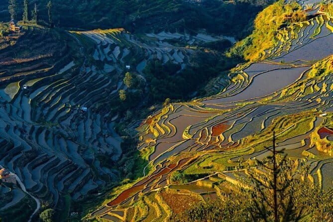 7 Days Yunnan Charming Old Town Tour - Why This Tour Offers Great Value
