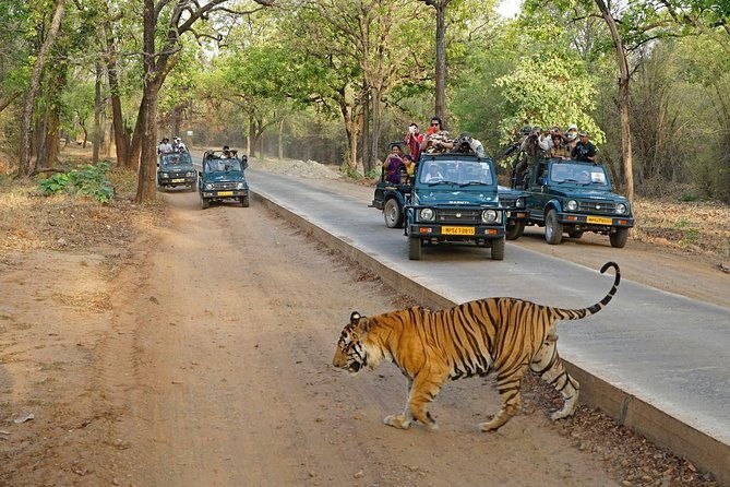 8 Day Golden Triangle Tour with Ranthambore {Taj , Tigers & More} - Agra: The Iconic Taj Mahal and Mughal Splendors