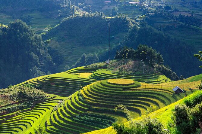 8-Days Hanoi, Sapa Trekking And Halong Bay Cruise - Practical Details and Value