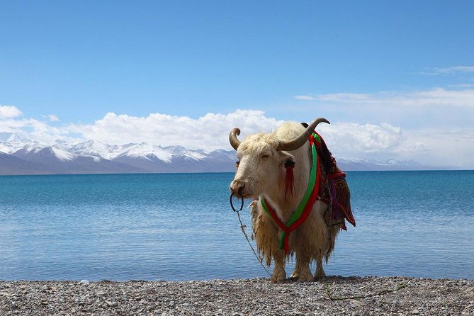 8-Days Heavenly Himalayas- LEH-LADAKH - A Detailed Breakdown of the Itinerary