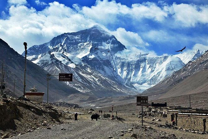 8 Days Lhasa Gyantse Shigatse Mt Everest Group Tour - FAQs