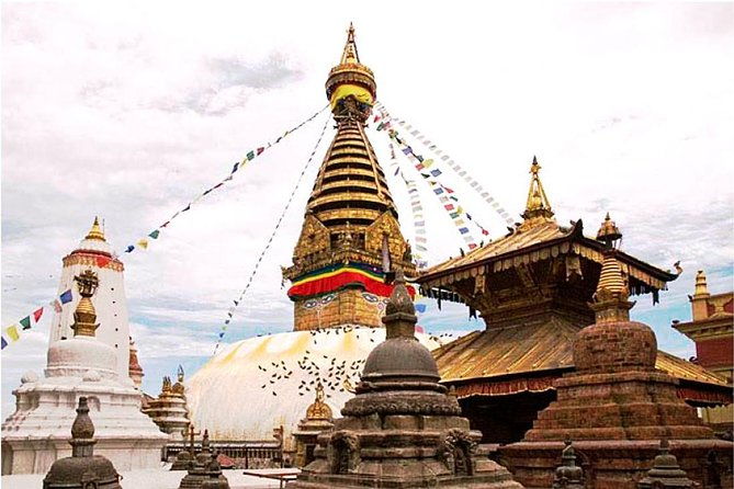 8 Days Nepal Highlights Tour: Culture, Wildlife & Lakeside Charm - Why You’ll Love This Tour