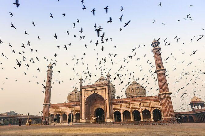 8 Days Private Luxury Tour of Taj Mahal & Palaces of India - Timeless Royalty - Who Will Love This Tour?