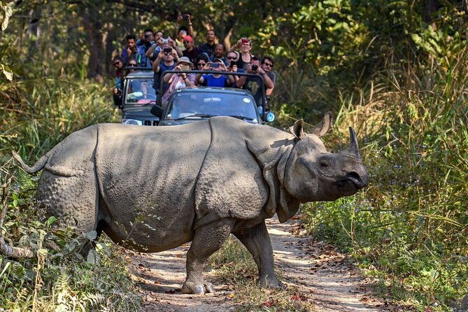 8 Days Tour in Nepal (4 Star Accommodation) - What Makes This Tour Stand Out?