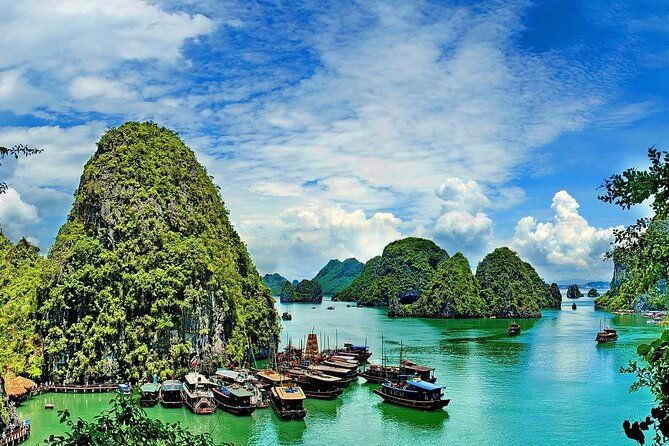 9-Day Tour of Vietnam with Airport Pick Up - Final Thoughts: Who Is This Tour Best For?